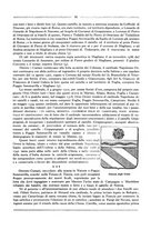 giornale/RML0025981/1928/unico/00000043