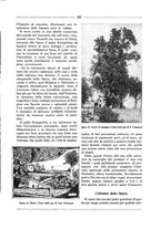 giornale/RML0025981/1928/unico/00000255