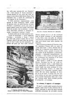 giornale/RML0025981/1928/unico/00000257