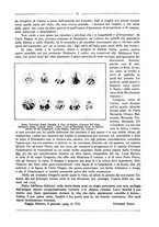 giornale/RML0025981/1929/unico/00000021