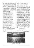 giornale/RML0025992/1931/unico/00000018