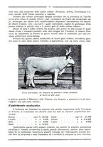 giornale/RML0025992/1931/unico/00000101