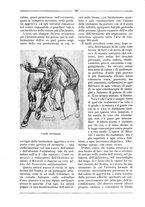 giornale/RML0025992/1931/unico/00000377