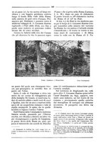 giornale/RML0025992/1931/unico/00000394