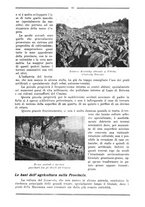 giornale/RML0025992/1931/unico/00000523