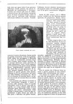 giornale/RML0025992/1932/unico/00000501