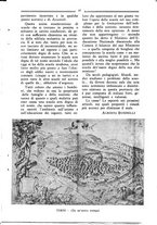 giornale/RML0025992/1937/unico/00000097