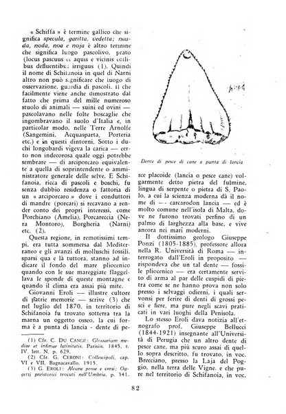 Latina gens rassegna del Lazio, dell'Umbria e della Sabina