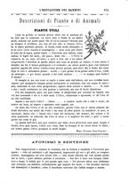 giornale/RML0026182/1892/unico/00000433