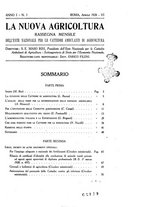 giornale/RML0026269/1928/unico/00000035