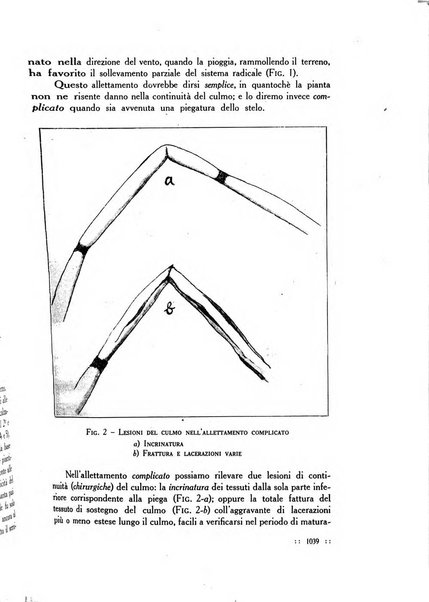 La nuova agricoltura rassegna mensile dell'Ente nazionale per le cattedre ambulanti di agricoltura