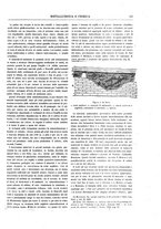 giornale/RML0026303/1910/unico/00000129