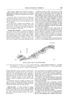 giornale/RML0026303/1913/unico/00000297