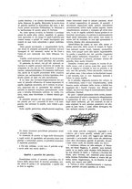 giornale/RML0026303/1923/unico/00000107