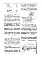 giornale/RML0026303/1925/V.1/00000129