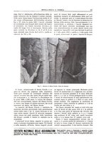 giornale/RML0026303/1925/V.2/00000129