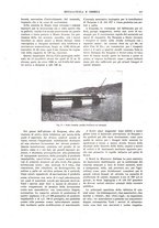 giornale/RML0026303/1925/V.2/00000133