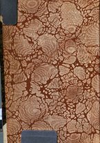 giornale/RML0026344/1913/unico/00000002