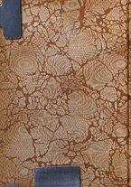 giornale/RML0026344/1917/unico/00000002