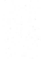 giornale/RML0026344/1917/unico/00000010