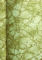 giornale/RML0026344/1920/unico/00000003