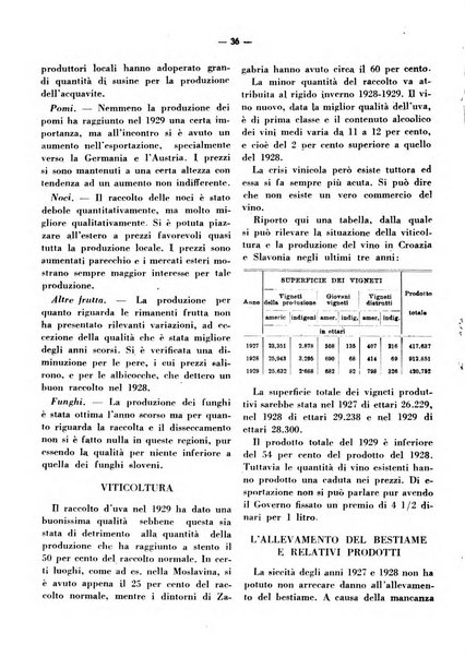 Rassegna economica dell'Europa mediorientale organo ufficiale dell'Istituto nazionale per l'espansione economica italiana all'estero