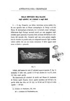 giornale/RML0026425/1901/unico/00000369