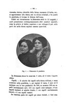 giornale/RML0026425/1903/unico/00000205