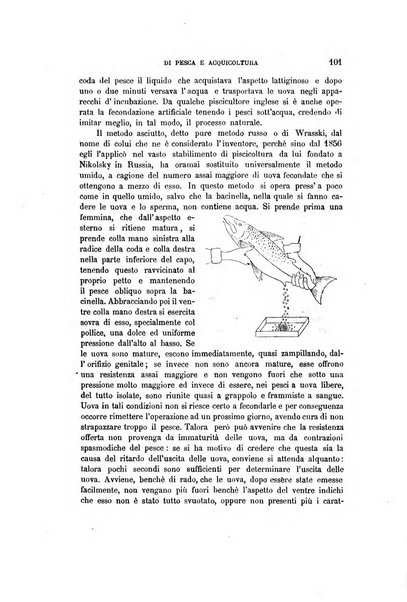 Giornale italiano di pesca e acquicoltura