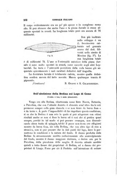 Giornale italiano di pesca e acquicoltura