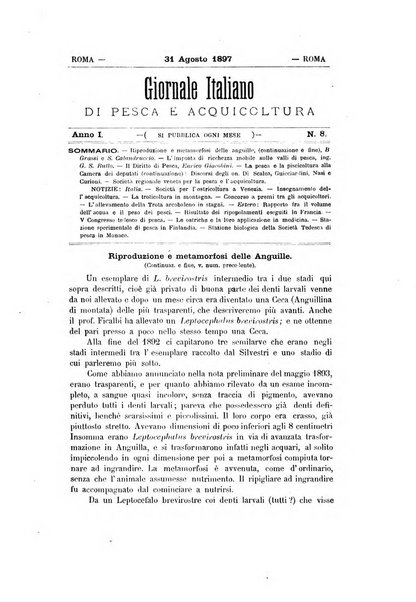 Giornale italiano di pesca e acquicoltura