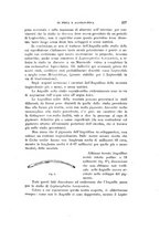 giornale/RML0026461/1897/unico/00000233