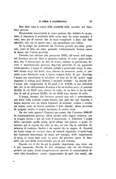 Giornale italiano di pesca e acquicoltura