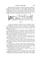 giornale/RML0026461/1898/unico/00000207