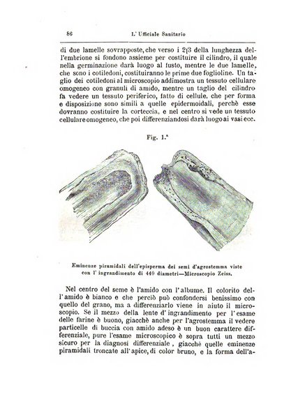 L'ufficiale sanitario rivista d'igiene pratica e sperimentale