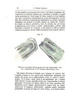 giornale/RML0026496/1890/unico/00000098