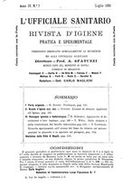 giornale/RML0026496/1891/unico/00000143