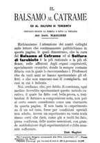 giornale/RML0026496/1891/unico/00000196