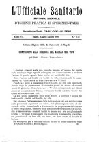 giornale/RML0026496/1893/unico/00000201