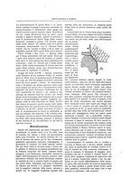 giornale/RML0026541/1928/unico/00000013