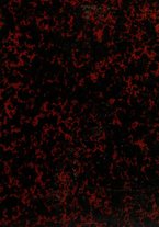 giornale/RML0026542/1881/unico