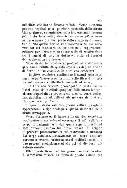 Archivio italiano per le malattie nervose e più particolarmente per le alienazioni mentali organo della Società freniatrica italiana <1874-1891>