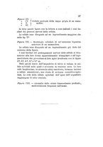 giornale/RML0026542/1885/unico/00000049