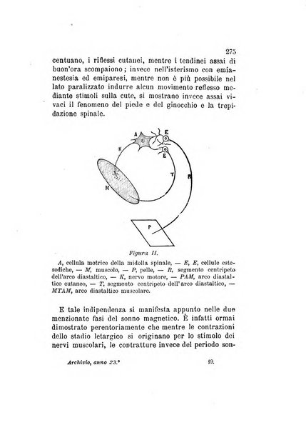 Archivio italiano per le malattie nervose e più particolarmente per le alienazioni mentali organo della Società freniatrica italiana <1874-1891>