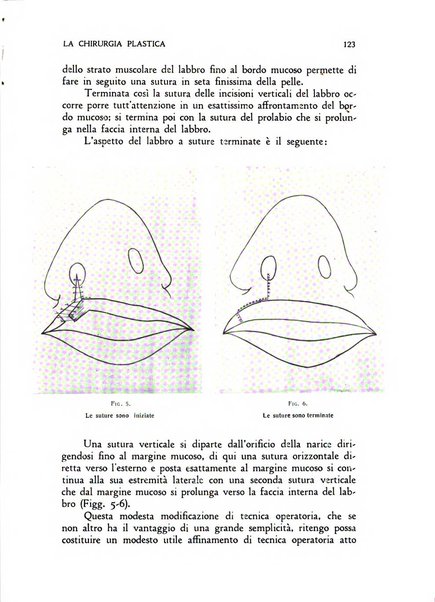 La chirurgia plastica rivista della Societa italiana di chirurgia riparatrice plastica ed estetica