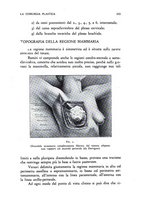 giornale/RML0026615/1936/unico/00000117