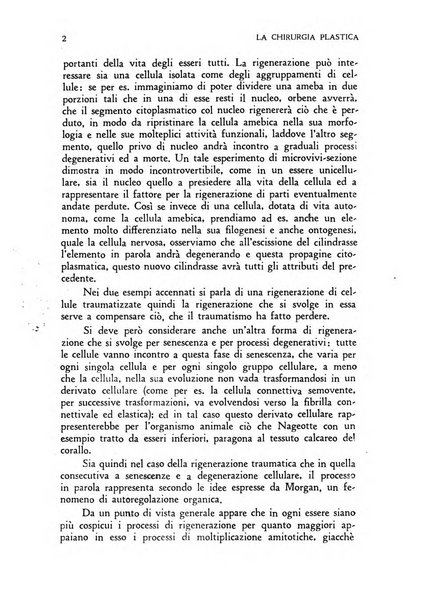 La chirurgia plastica rivista della Societa italiana di chirurgia riparatrice plastica ed estetica