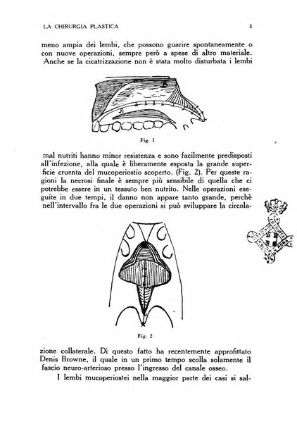 La chirurgia plastica rivista della Societa italiana di chirurgia riparatrice plastica ed estetica