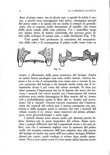 La chirurgia plastica rivista della Societa italiana di chirurgia riparatrice plastica ed estetica