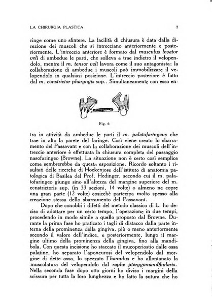 La chirurgia plastica rivista della Societa italiana di chirurgia riparatrice plastica ed estetica